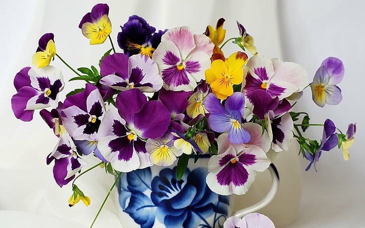 How to Maintain Pansy Flowers in a Vase