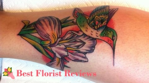 Iris and Hummingbird Tattoo