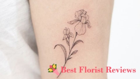 Minimalist Iris Tattoo