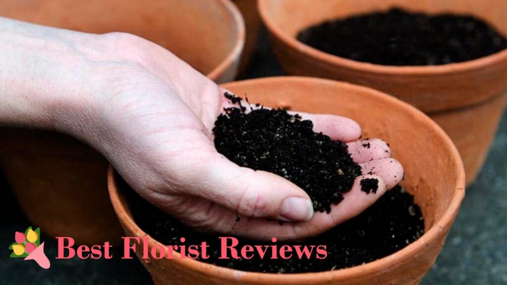 Soil Mix