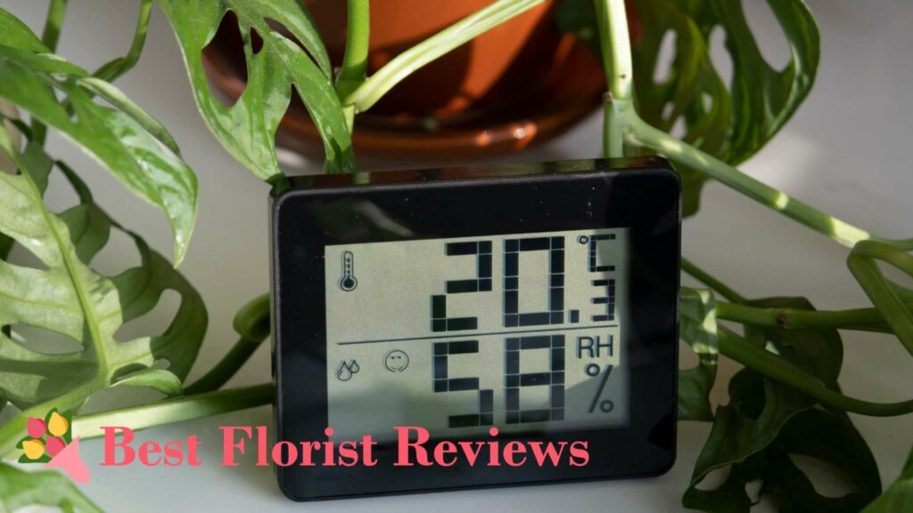 Temperature and Humidity