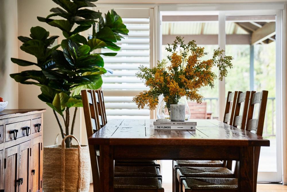 Tips and Precautions for Using Ficus Plants in Arrangements
