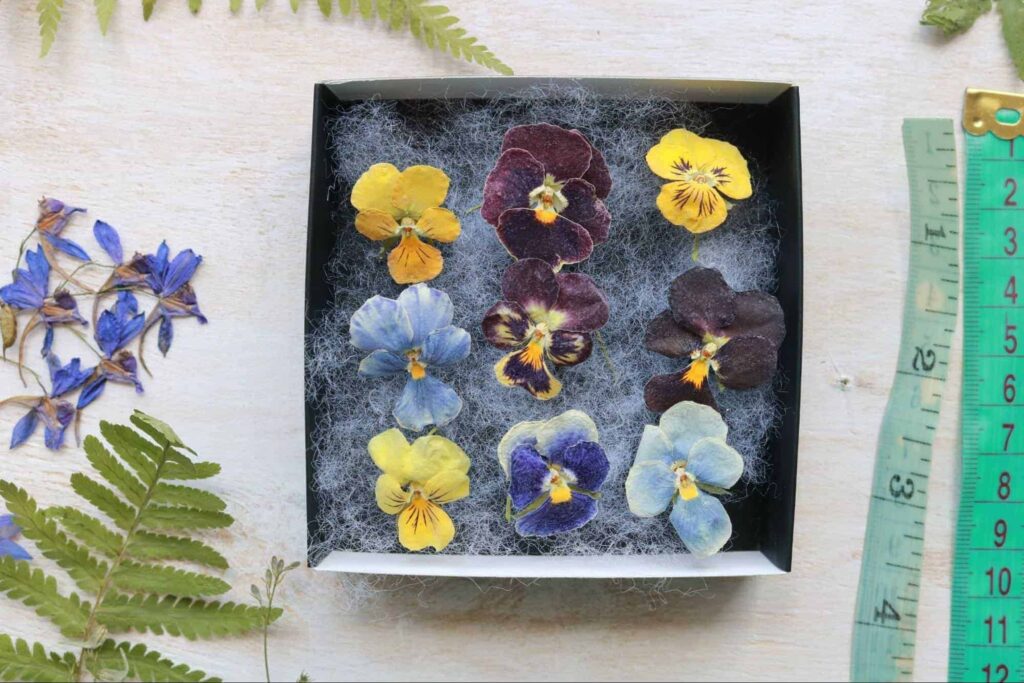 What are the other uses of pansy flowers