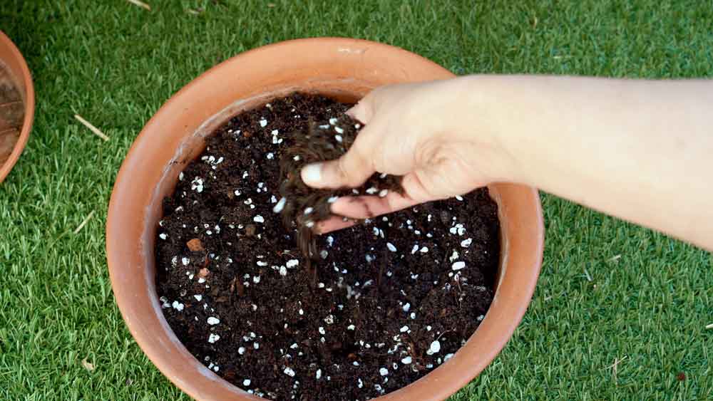 Aeration and Oxygenation