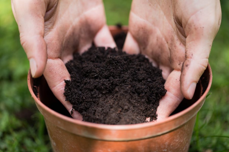 All-Purpose Indoor Potting Mix
