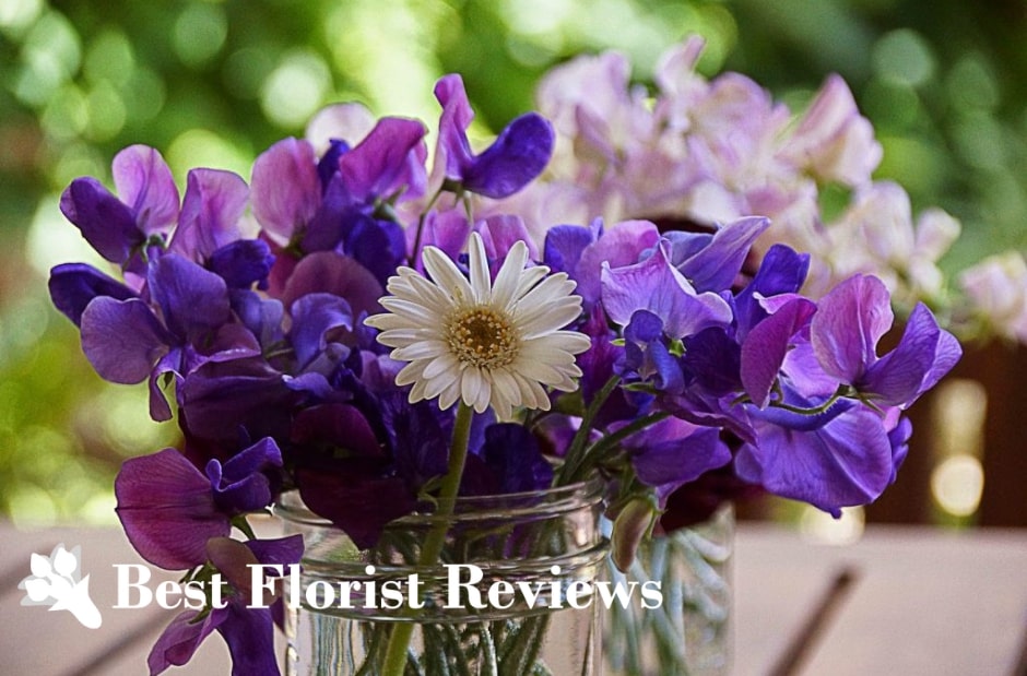 April Flowers Discover the Beauty of April Blooms