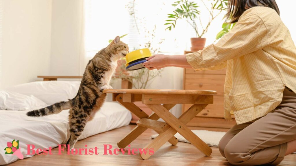 Behavioral Training