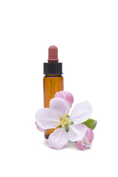 Can crab apple blossoms be used for medicinal purposes