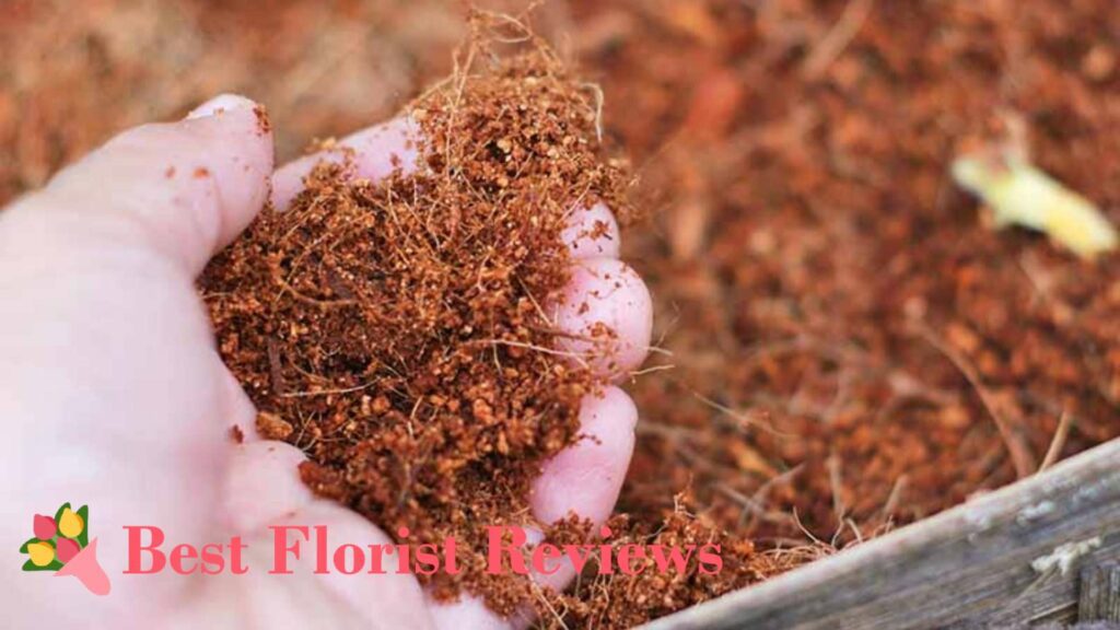 Coco Coir