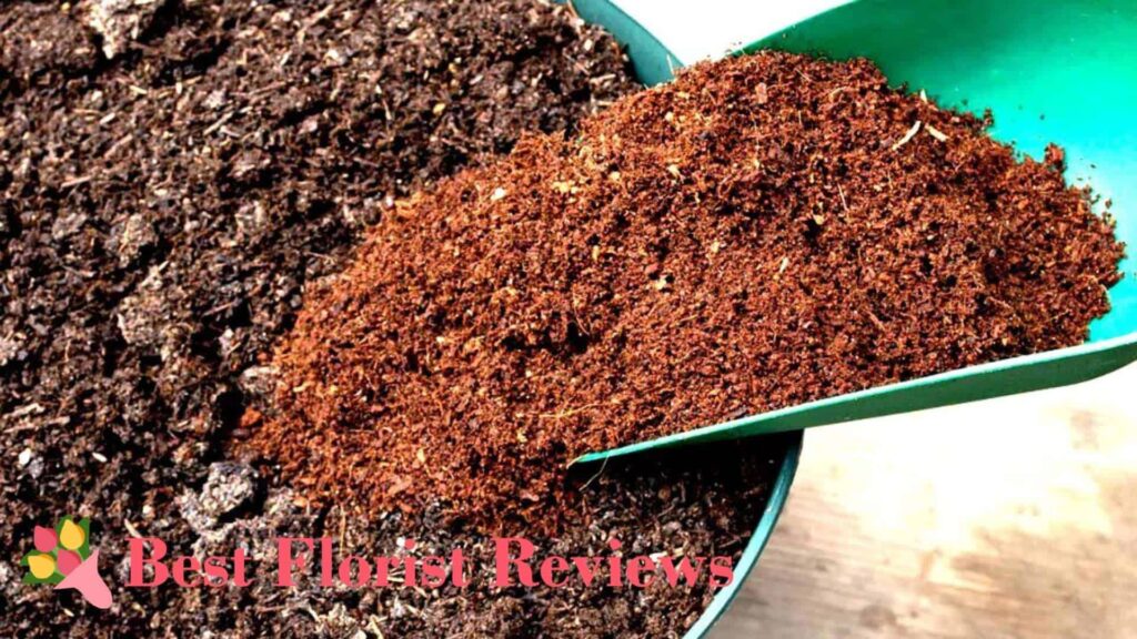 Coco Coir
