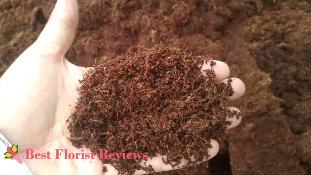 Coco Coir