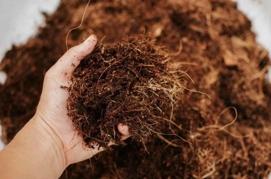 Coconut Coir