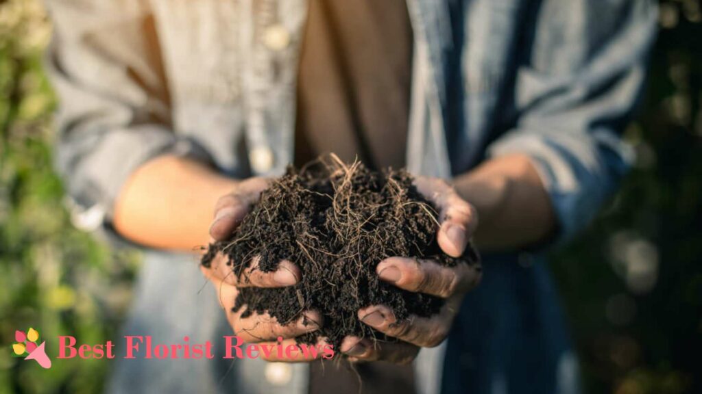 Compost