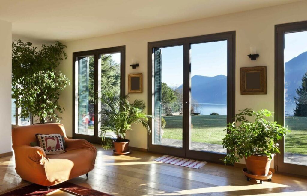 Factors to Consider for West-Facing Window Plants