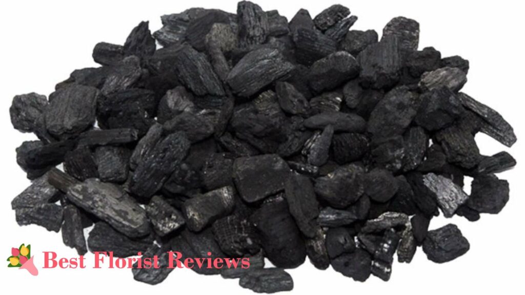 Horticultural Charcoal