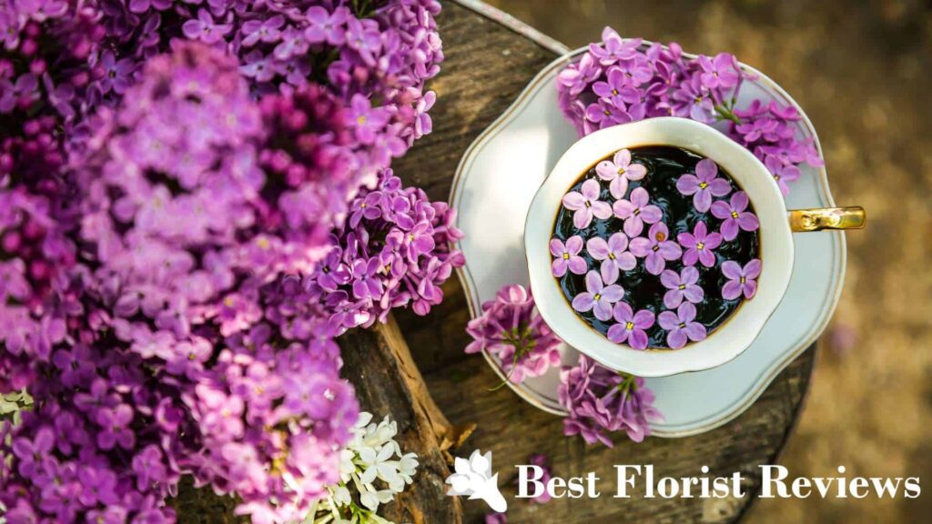 How can lilac flowers be used in cooking
