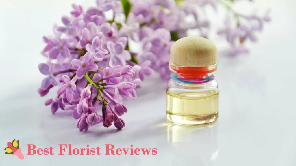 How can lilac flowers be used in cosmetics