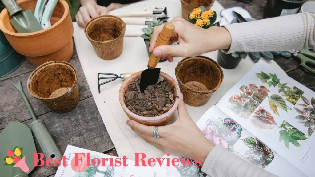 How to make my own soil mix for watermelon peperomia