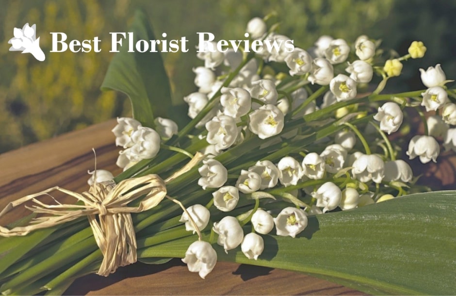 Lily of the Valley A Delicate Beauty with Profound Meanings