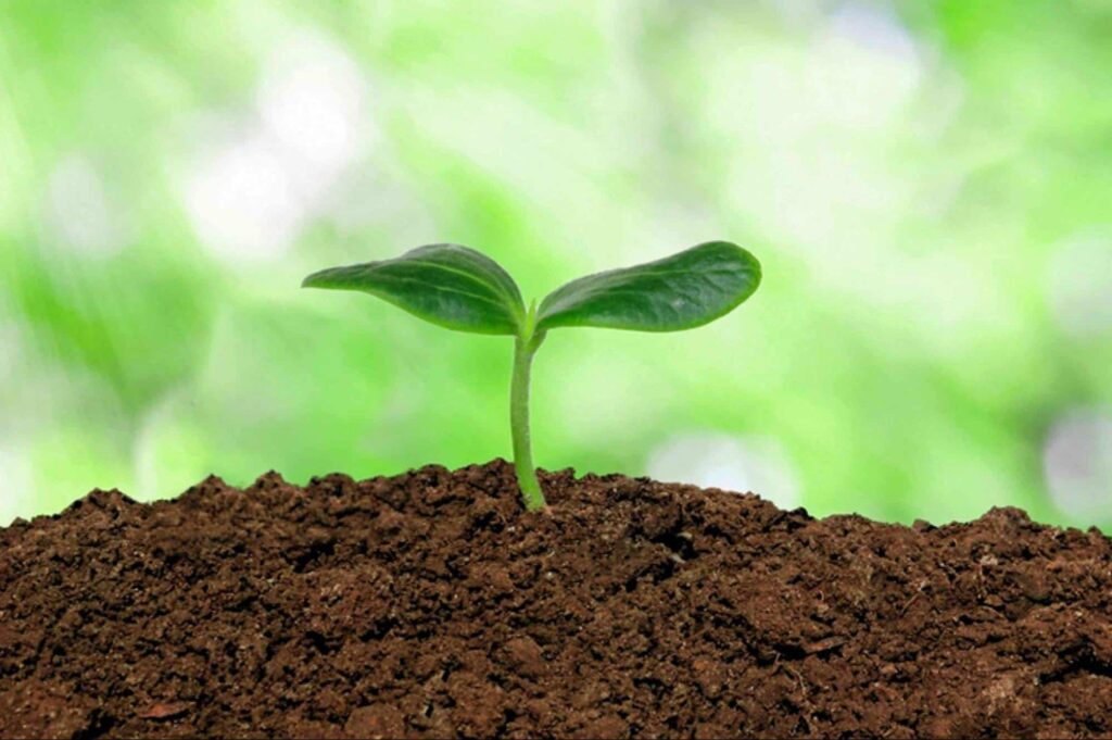 Nutrient-Rich