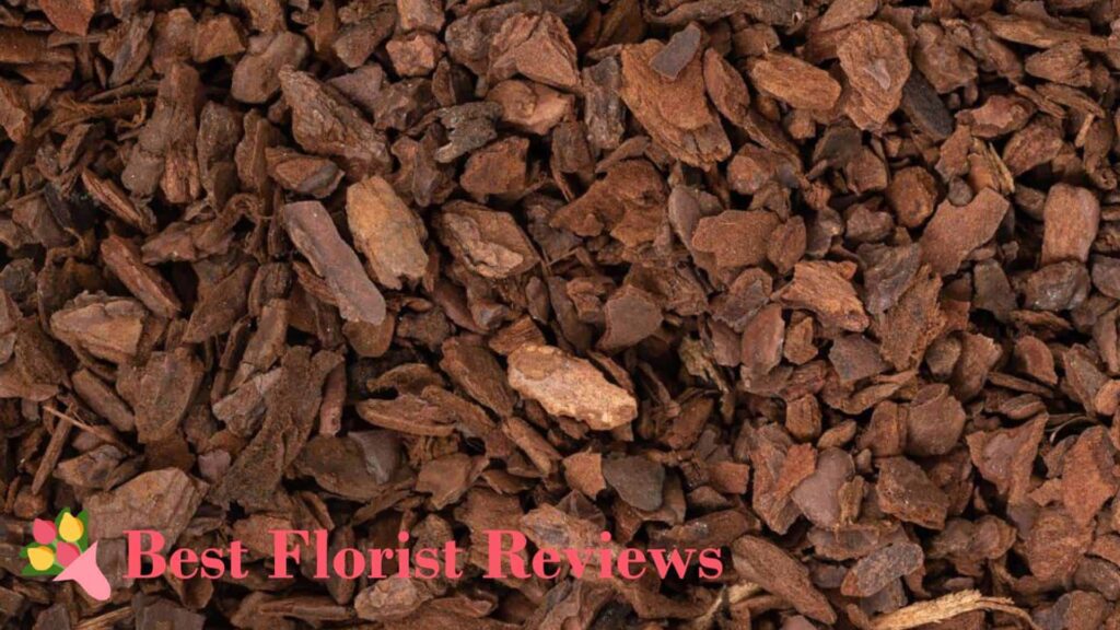Orchid Bark