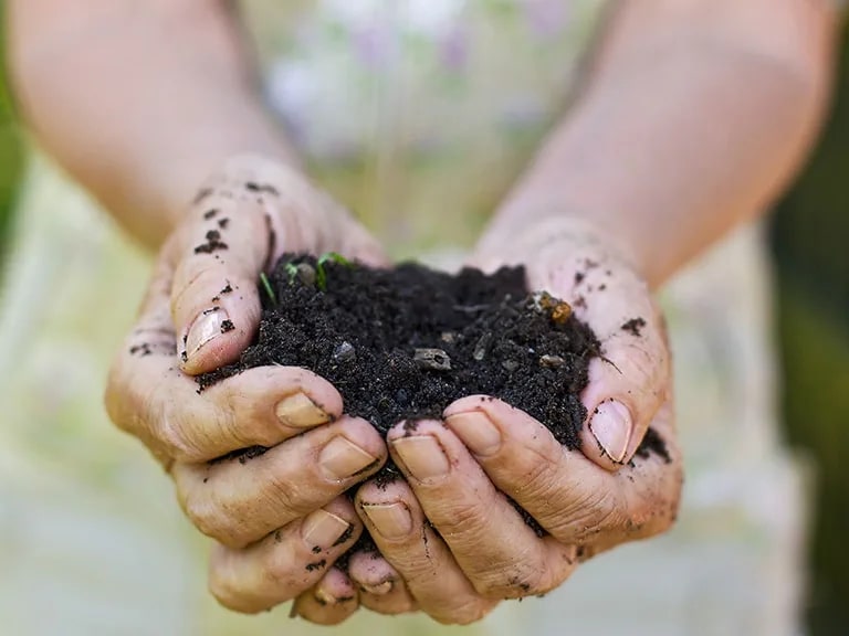 Peat-Free Potting Mix