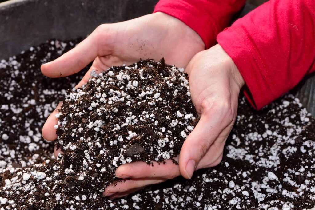 Perlite-Enhanced Potting Mix