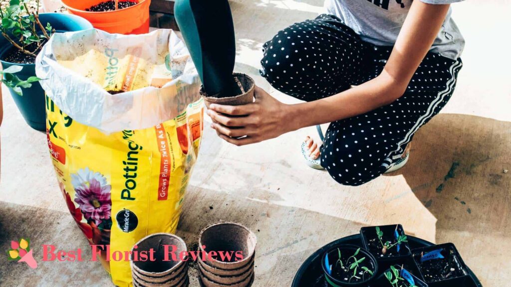 Potting Mix