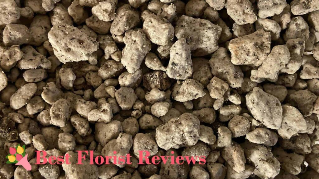 Pumice