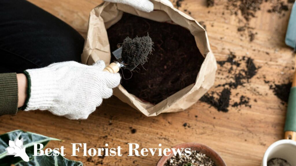 Soil