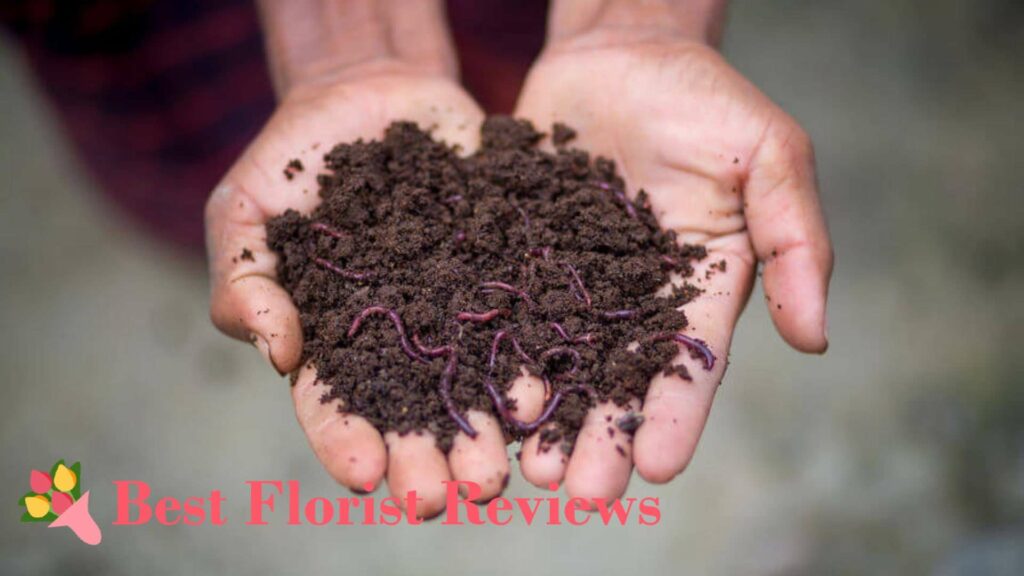 Vermicompost