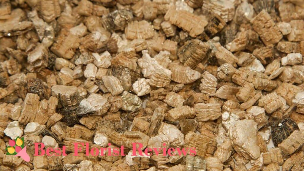 Vermiculite