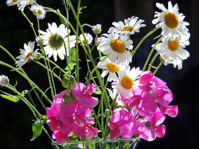What are the April birth flowers