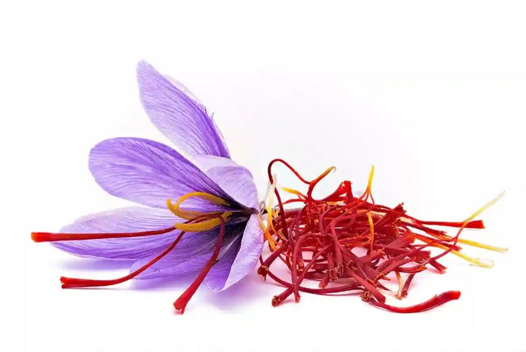 Can crocus flowers be used for medicinal purposes