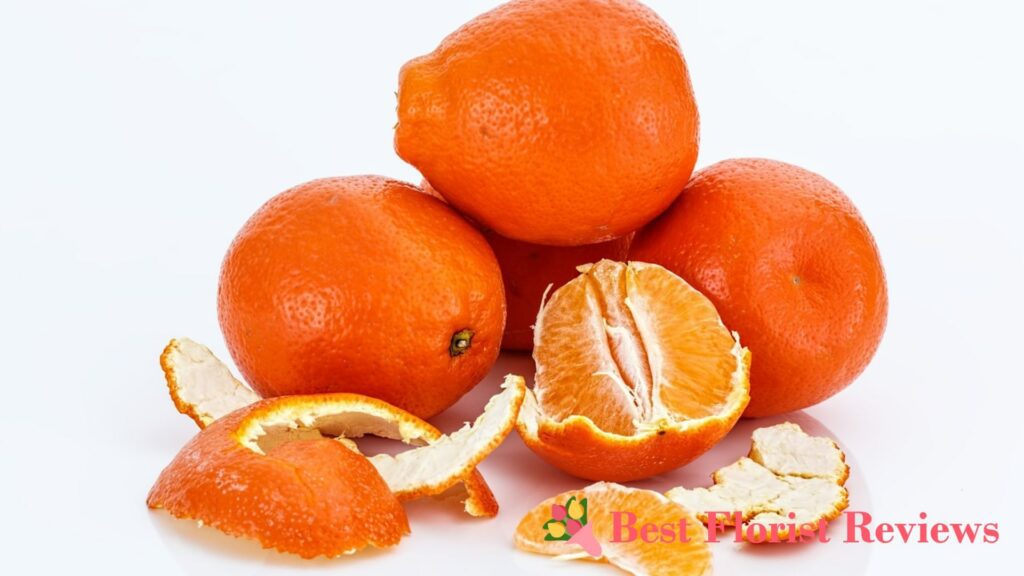 Honeybell
