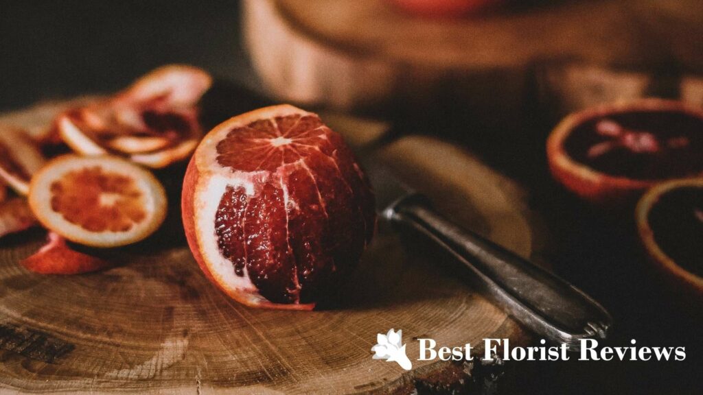 Moro Blood Orange