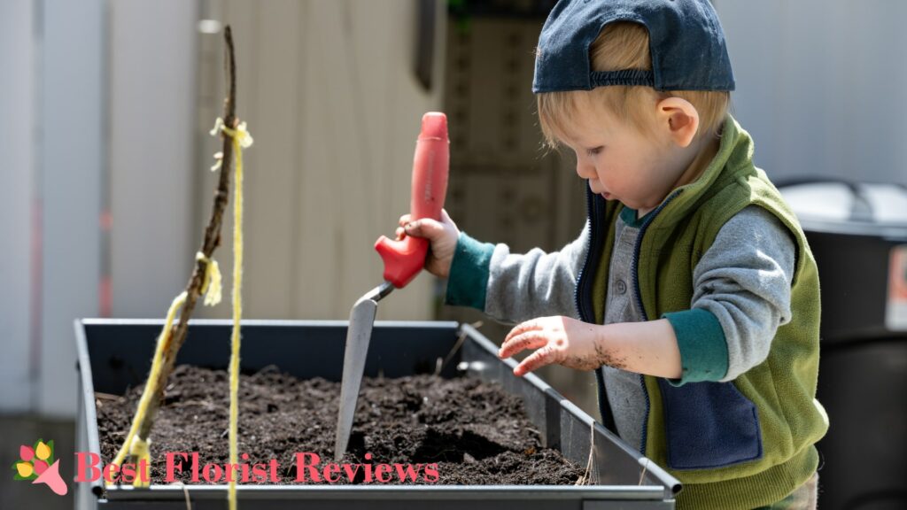 Soil Mix Recipes for Spider Plant