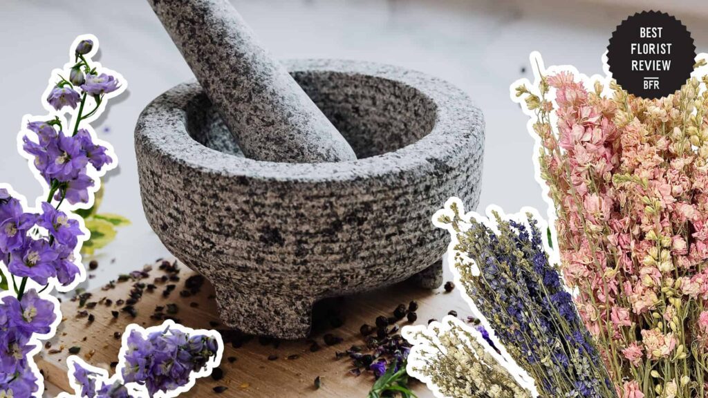 Can Delphinium flowers be used for medicinal purposes