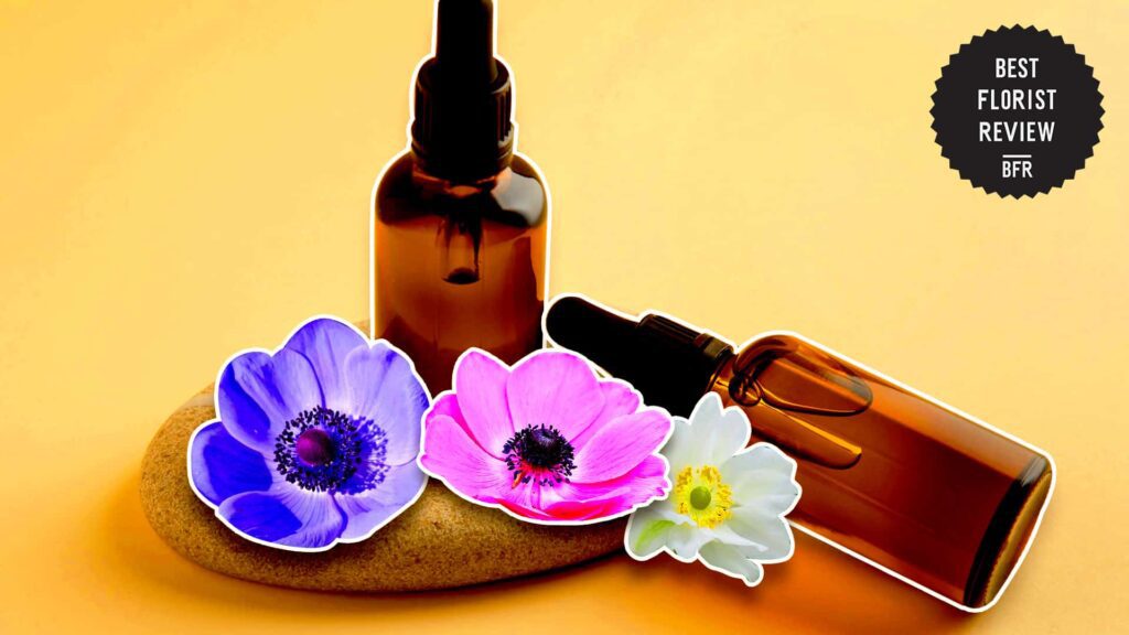 Can anemone flowers be used in medicine