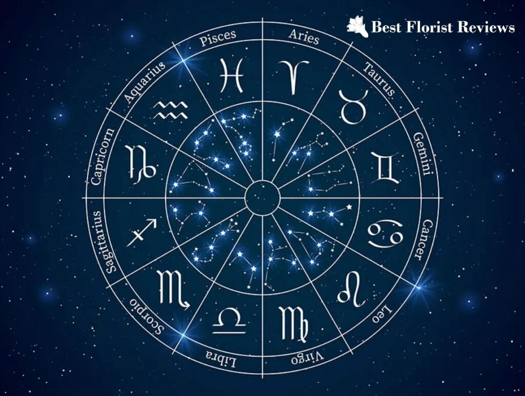 Celestial Harmony Your Ultimate Guide to Zodiac Flowers