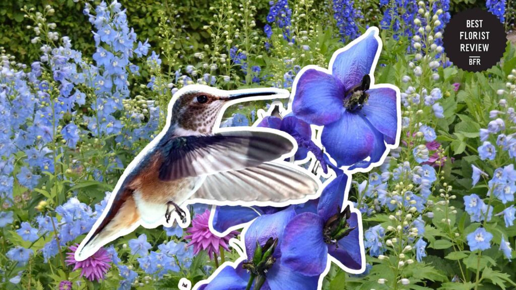 How can Delphinium flowers be used in gardening and landscaping