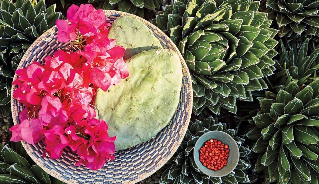 How can bougainvillea flowers be used in cooking