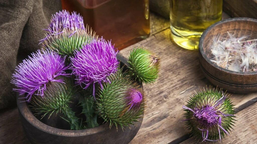 How can thistle flowers be used in cooking