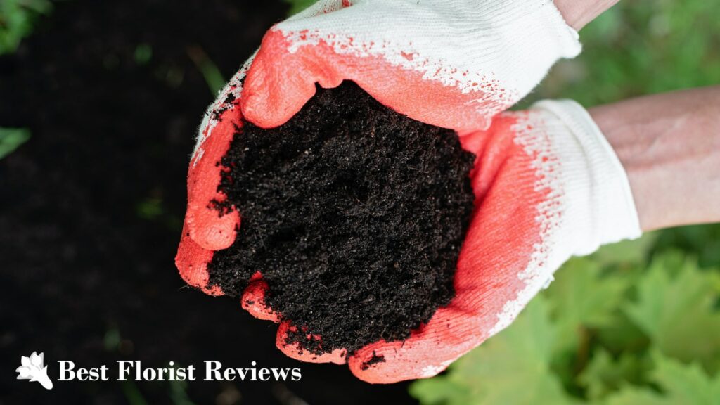 Nutrient Content