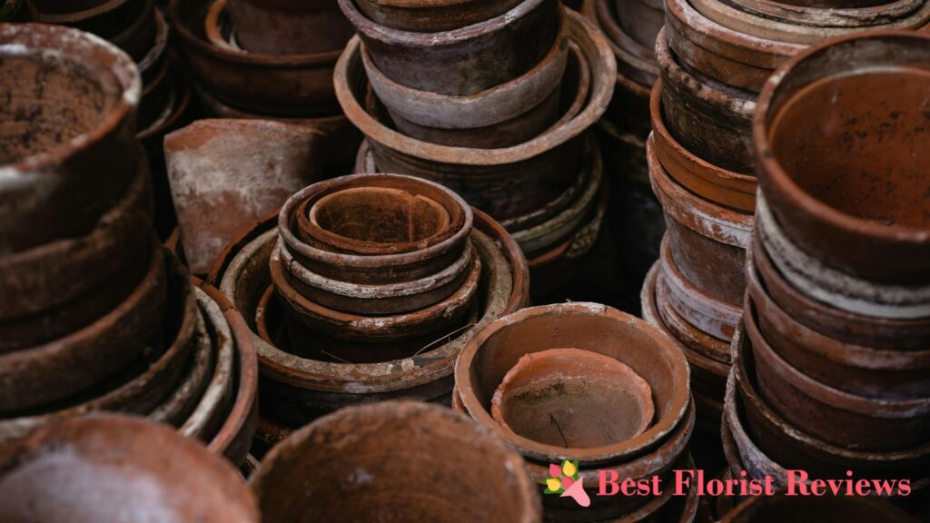 Pot Type