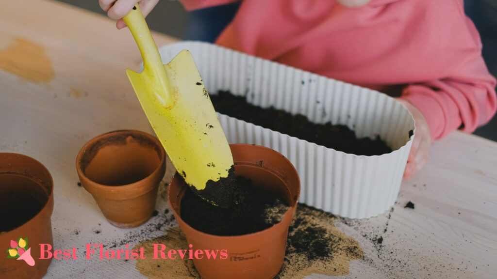 Soil Mix Recipes for Birds of Paradise