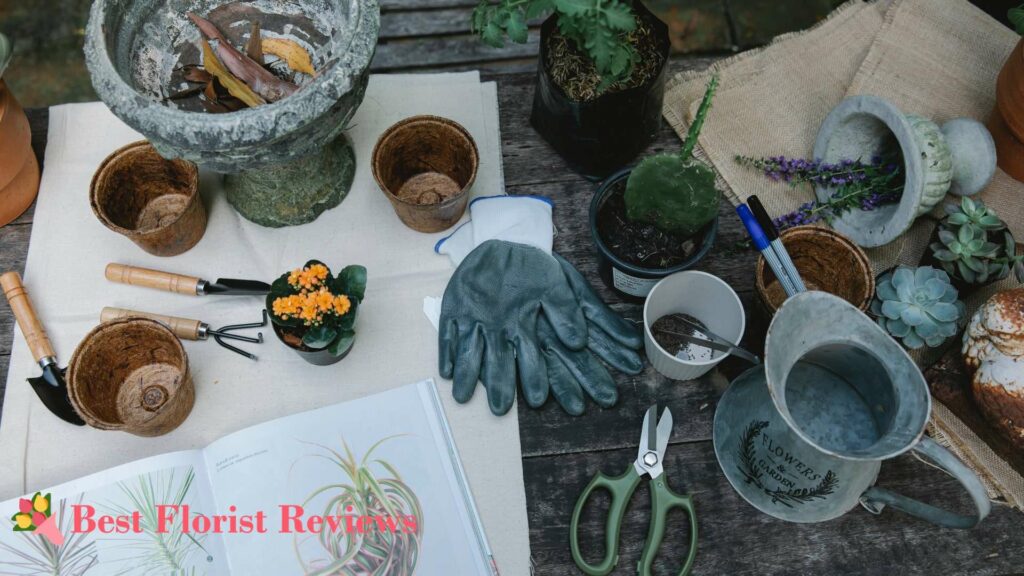 Soil Mix Recipes for Dracaena Marginata