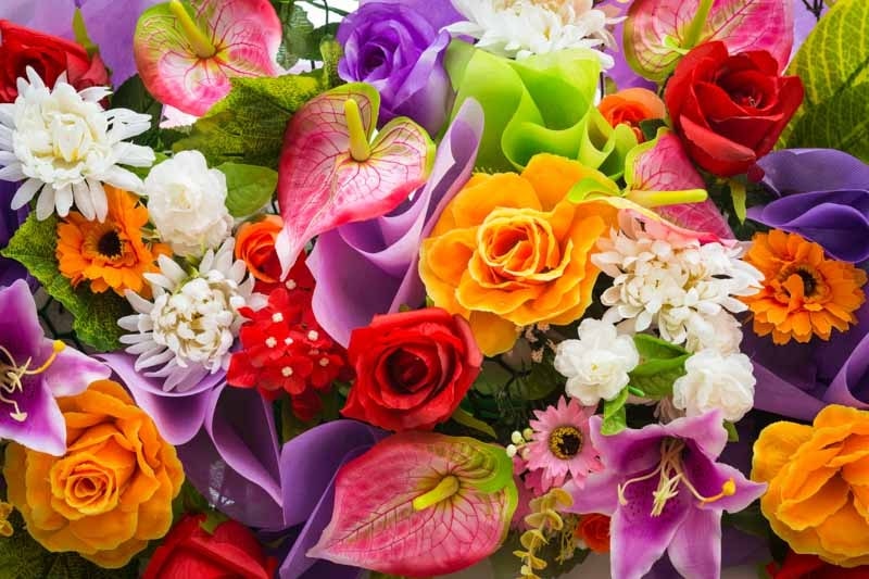 Understanding the Zodiac and Its Connection to Flowers
