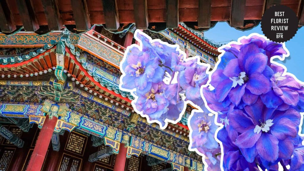 What are the cultural associations of Delphinium flowers