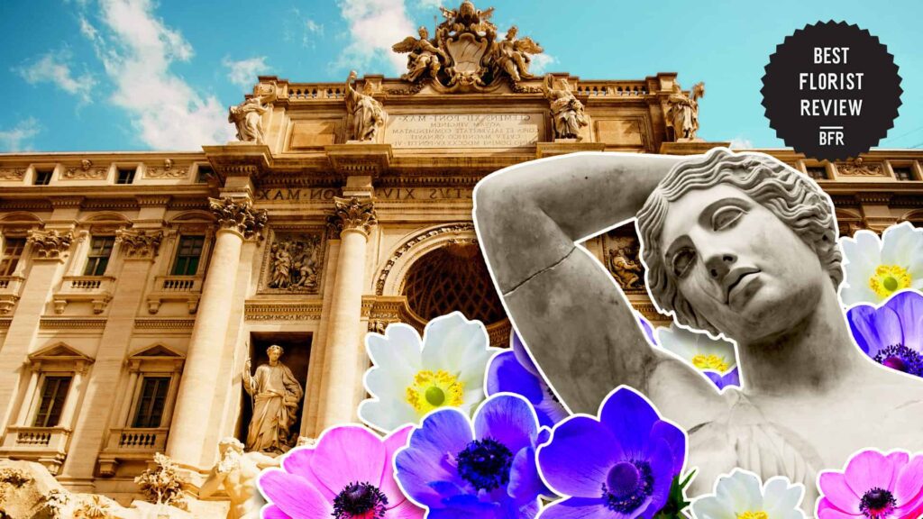 What are the cultural associations of the anemone flower
